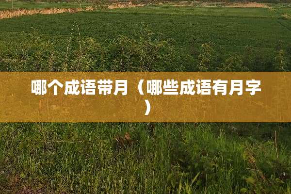 哪个成语带月（哪些成语有月字）