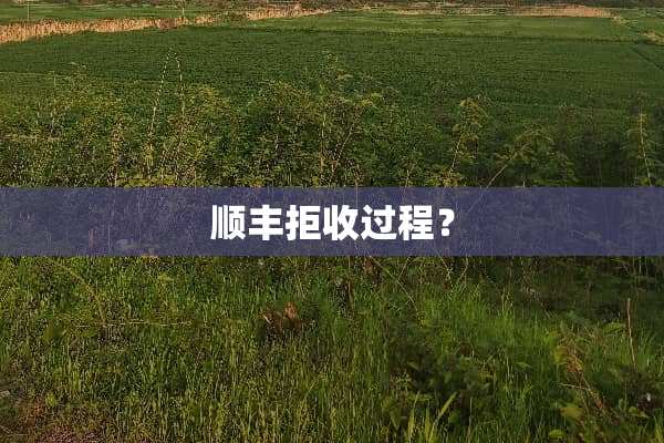 顺丰拒收过程？