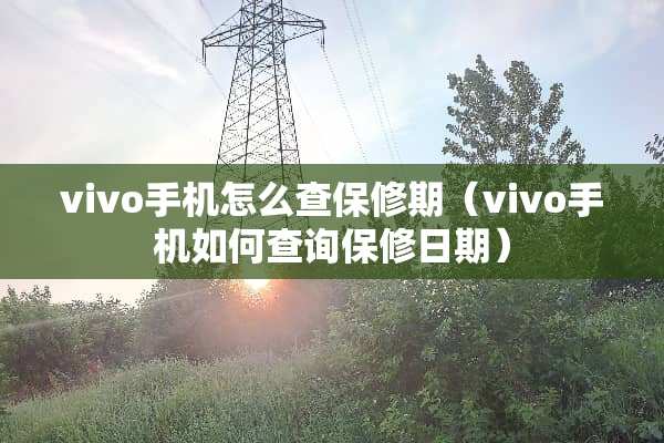 vivo手机怎么查保修期（vivo手机如何查询保修日期）