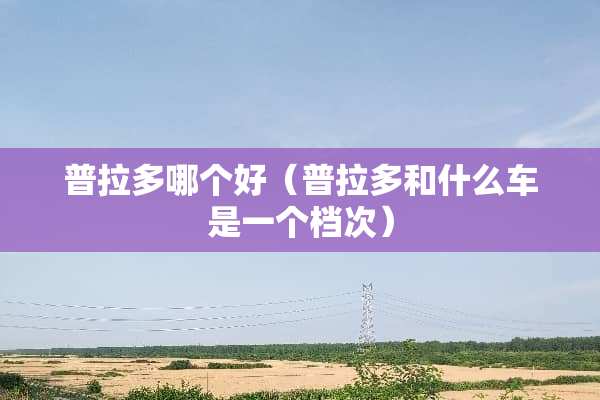 普拉多哪个好（普拉多和什么车是一个档次）