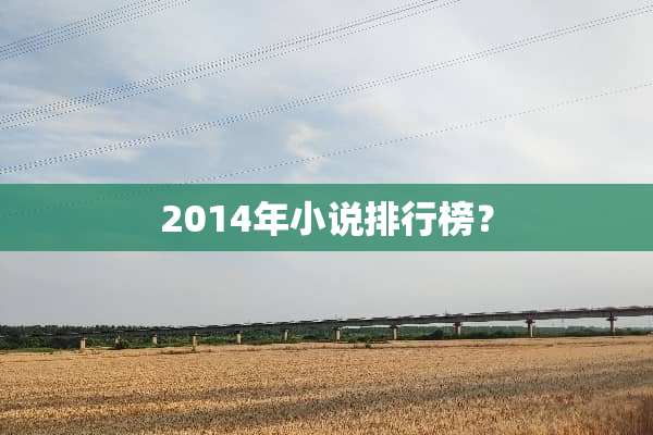 2014年小说排行榜？