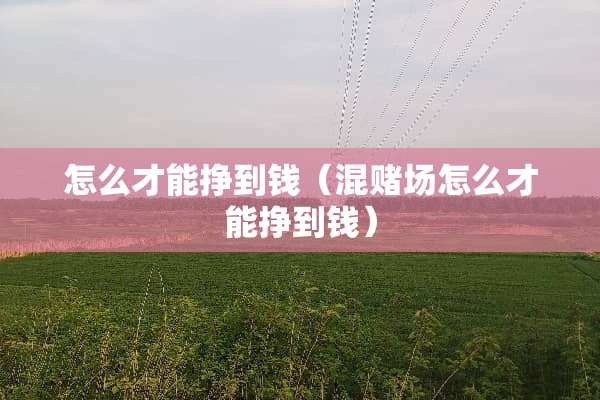 怎么才能挣到钱（混**怎么才能挣到钱）