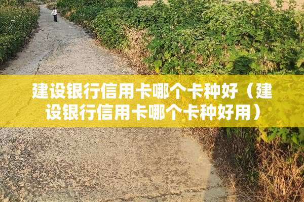 建设银行信用卡哪个卡种好（建设银行信用卡哪个卡种好用）