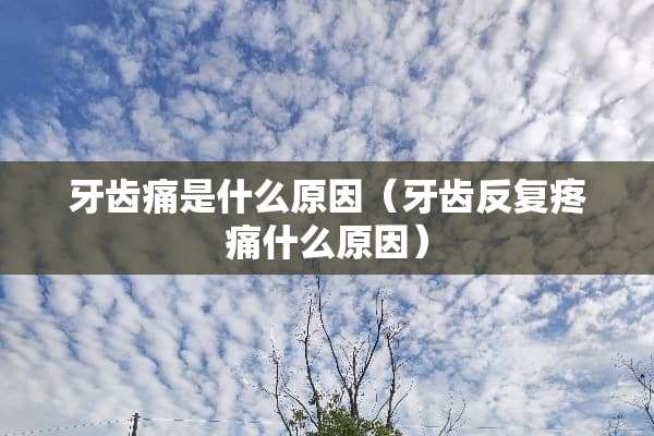 牙齿痛是什么原因（牙齿反复疼痛什么原因）