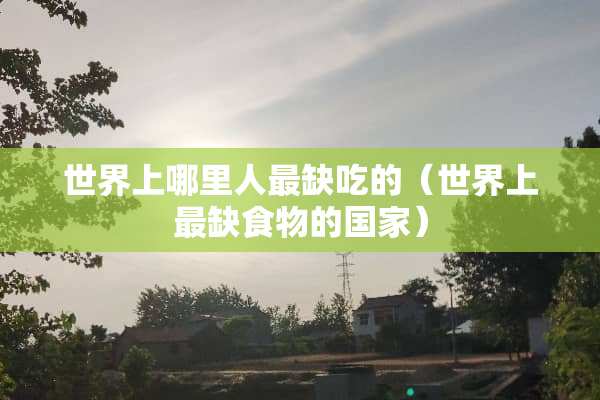 世界上哪里人最缺吃的（世界上最缺食物的国家）