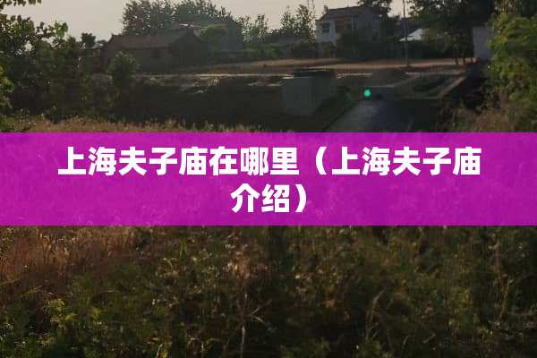 上海夫子庙在哪里（上海夫子庙介绍）