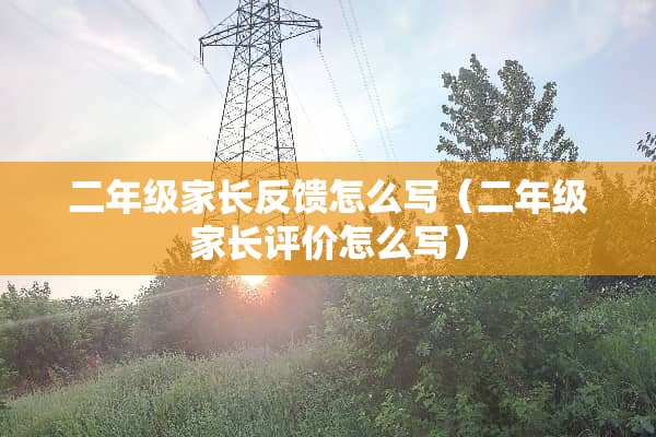 二年级家长反馈怎么写（二年级家长评价怎么写）