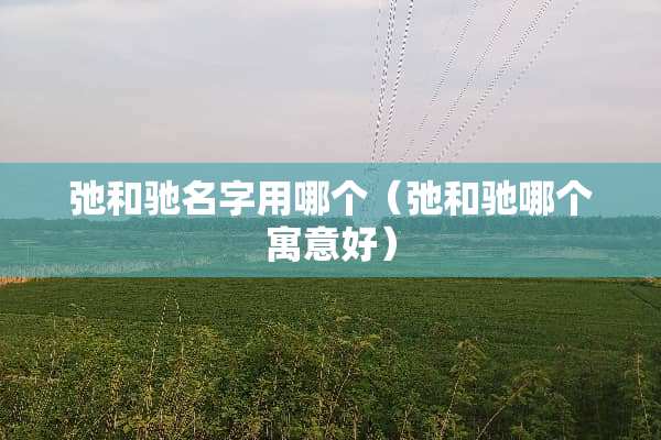 弛和驰名字用哪个（弛和驰哪个寓意好）