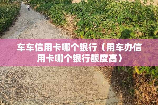 车车***哪个银行（用车办***哪个银行额度高）