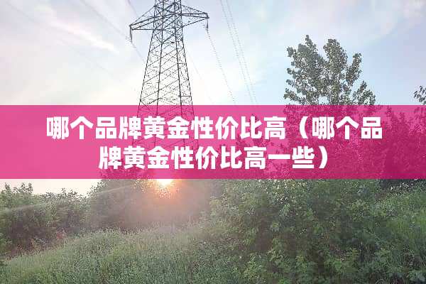 哪个品牌黄金性价比高（哪个品牌黄金性价比高一些）