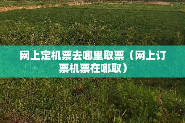 网上定机票去哪里取票（网上订票机票在哪取）