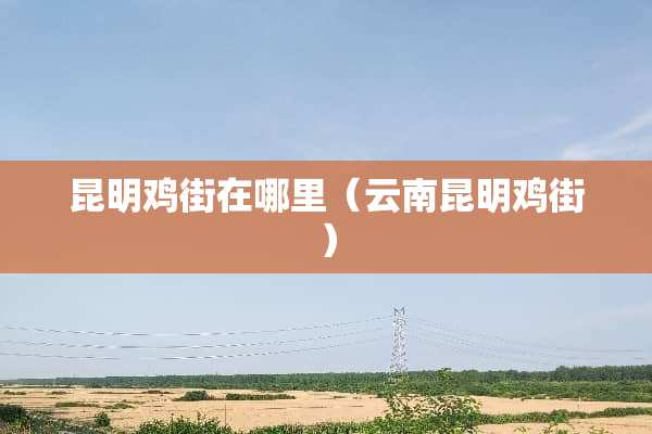 昆明鸡街在哪里（云南昆明鸡街）