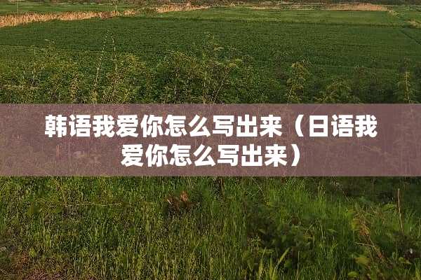 韩语我爱你怎么写出来（日语我爱你怎么写出来）