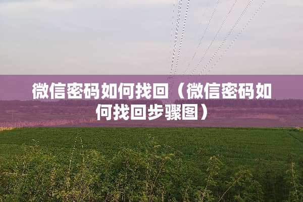 微信密码如何找回（微信密码如何找回步骤图）