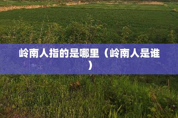 岭南人指的是哪里（岭南人是谁）