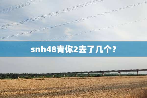 snh48青你2去了几个？