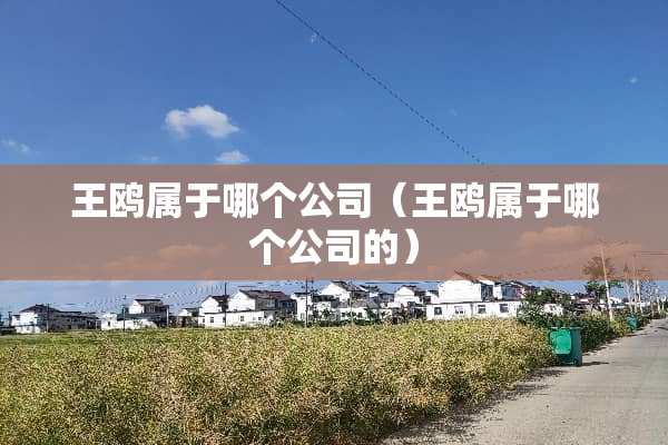 王鸥属于哪个公司（王鸥属于哪个公司的）
