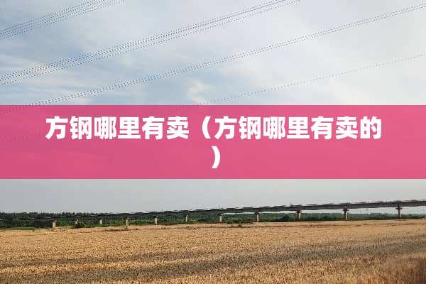 方钢哪里有卖（方钢哪里有卖的）