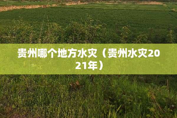 贵州哪个地方水灾（贵州水灾2021年）