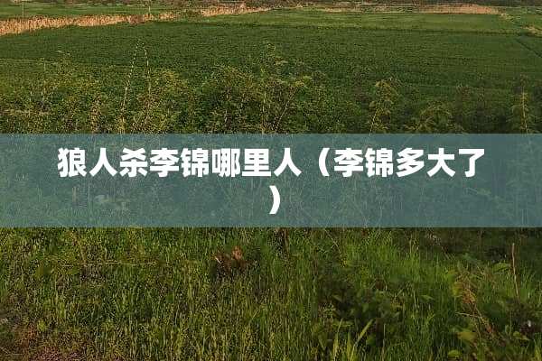狼人杀李锦哪里人（李锦多大了）