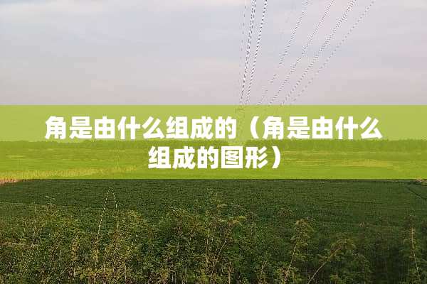 角是由什么组成的（角是由什么组成的图形）