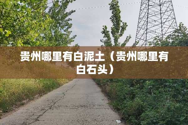 贵州哪里有白泥土（贵州哪里有白石头）