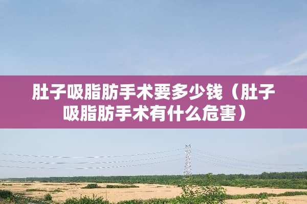 肚子吸脂肪手术要多少钱（肚子吸脂肪手术有什么危害）