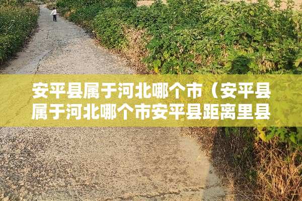 安平县属于河北哪个市（安平县属于河北哪个市安平县距离里县多少公里?）