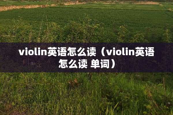 violin英语怎么读（violin英语怎么读 单词）