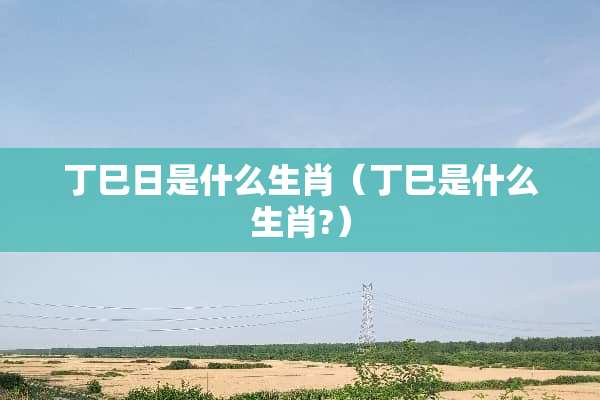 丁巳日是什么生肖（丁巳是什么生肖?）