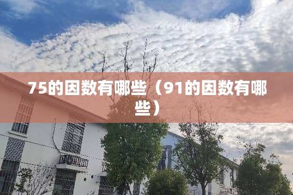 75的因数有哪些（91的因数有哪些）