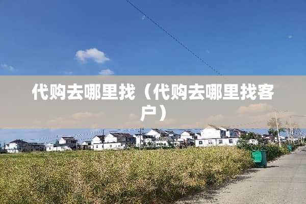 代购去***（代购去***客户）