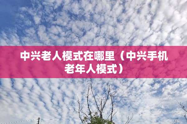 中兴老人模式在哪里（中兴手机老年人模式）