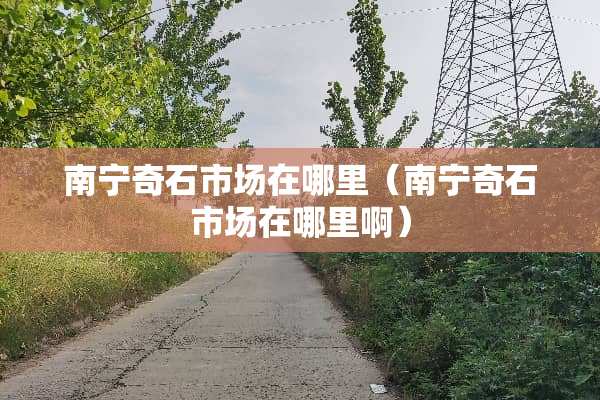 南宁奇石市场在哪里（南宁奇石市场在哪里啊）