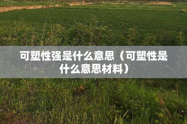 可塑性强是什么意思（可塑性是什么意思材料）