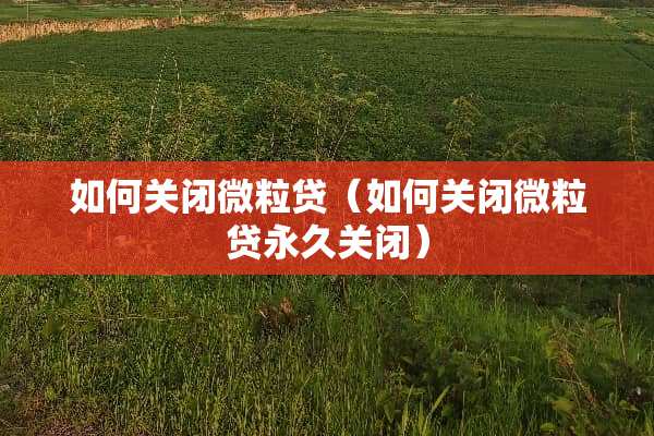 如何关闭微粒贷（如何关闭微粒贷永久关闭）