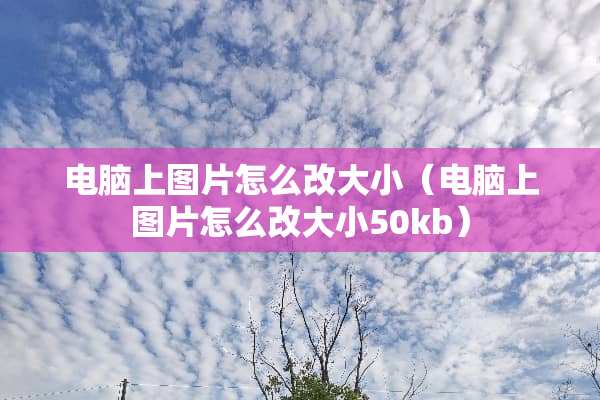 电脑上图片怎么改大小（电脑上图片怎么改大小50kb）
