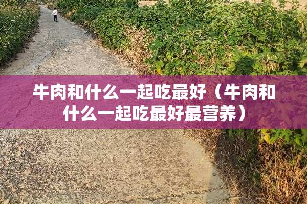 牛肉和什么一起吃最好（牛肉和什么一起吃最好最营养）