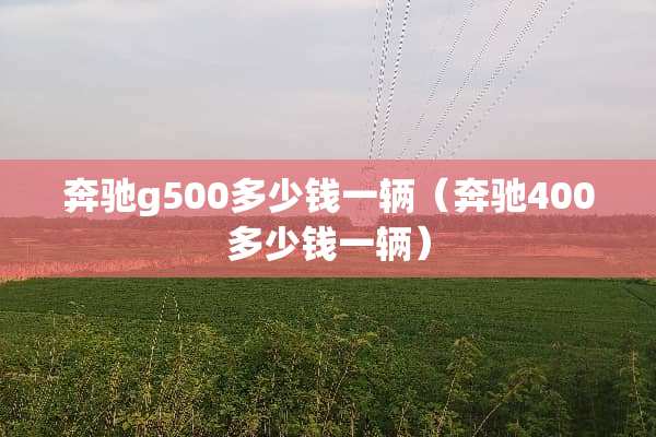 奔驰g500多少钱一辆（奔驰400多少钱一辆）