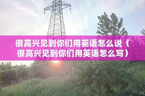 很高兴见到你们用英语怎么说（很高兴见到你们用英语怎么写）