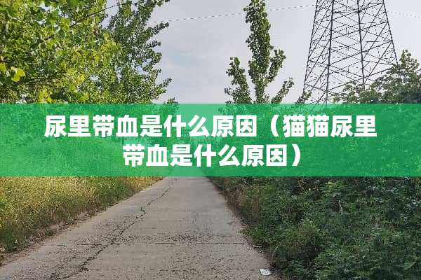 尿里带血是什么原因（猫猫尿里带血是什么原因）
