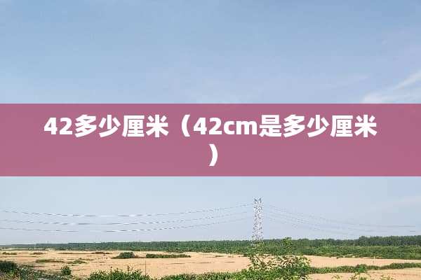 42多少厘米（42cm是多少厘米）