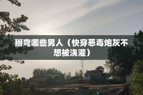掰弯哪些男人（快穿恶毒*灰不想被浇灌）