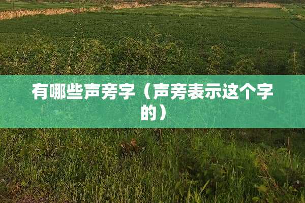 有哪些声旁字（声旁表示这个字的）