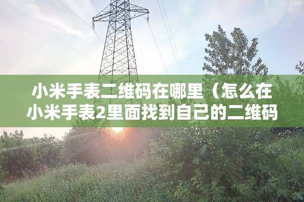小米手表二维码在哪里（怎么在小米手表2里面找到自己的二维码）