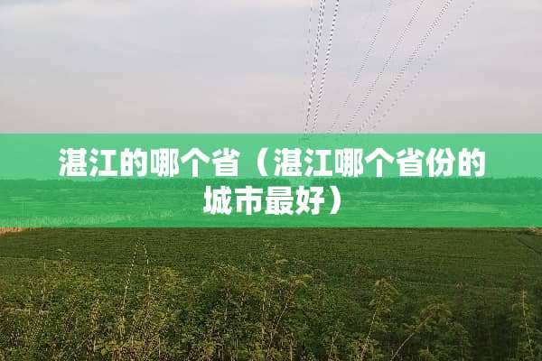 湛江的哪个省（湛江哪个省份的城市最好）