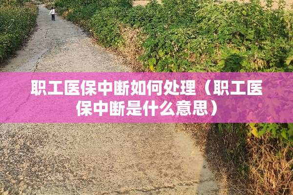 职工医保中断如何处理（职工医保中断是什么意思）