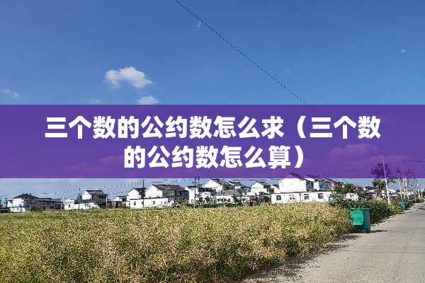 三个数的公约数怎么求（三个数的公约数怎么算）