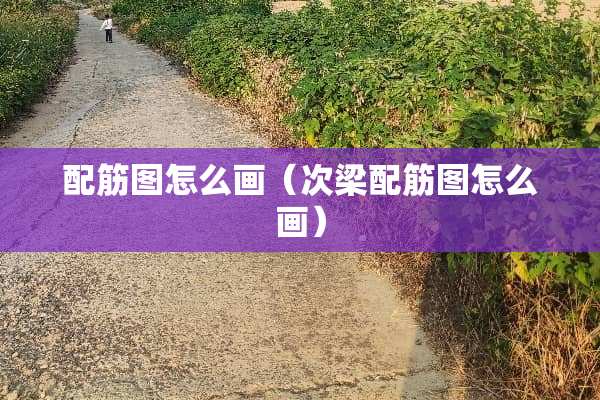 配筋图怎么画（次梁配筋图怎么画）