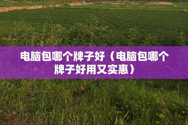 电脑包哪个牌子好（电脑包哪个牌子好用又实惠）